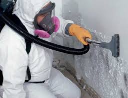  Chesterfield, MO Mold Prevention & Removal Pros